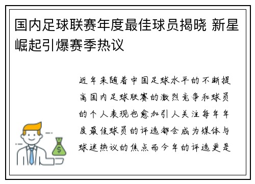 国内足球联赛年度最佳球员揭晓 新星崛起引爆赛季热议